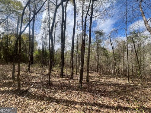 0 9th Ave Sw, LaFayette, AL, 36862 | Card Image