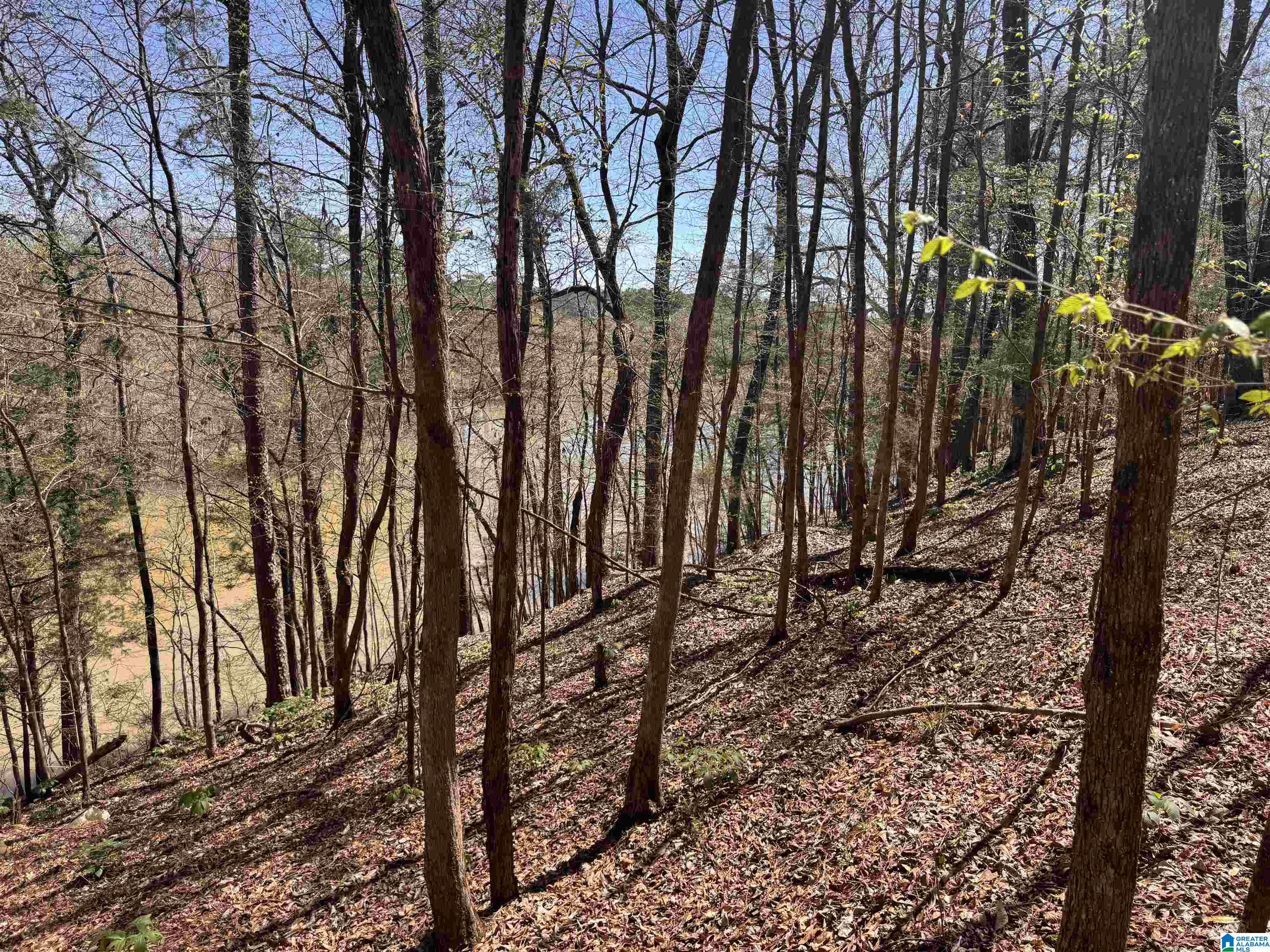 Land in NORTHPORT 5