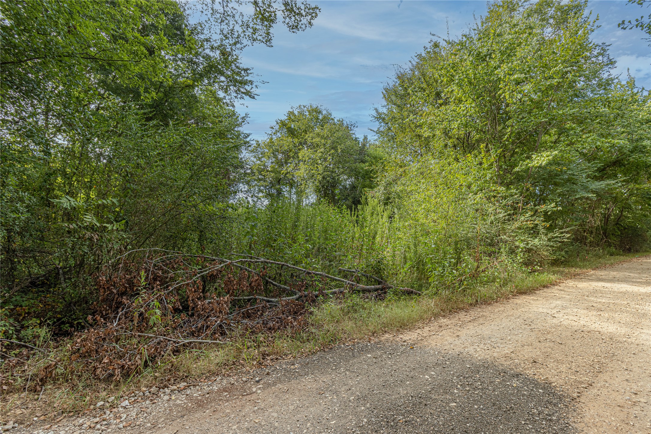 Land in Bullard