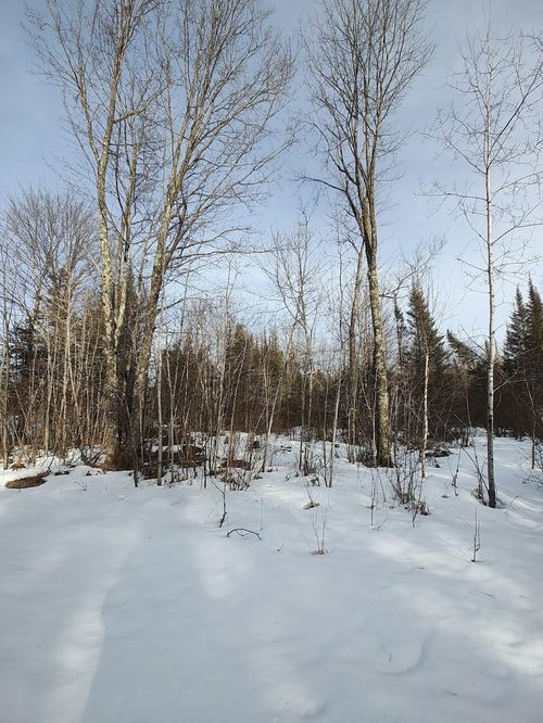 ON Highway 8, Rhinelander, WI, 54501 | Card Image