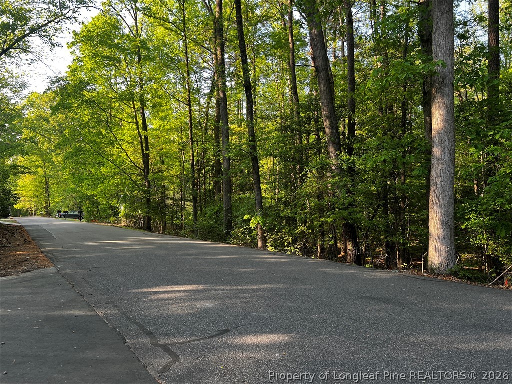 Land in Sanford 2