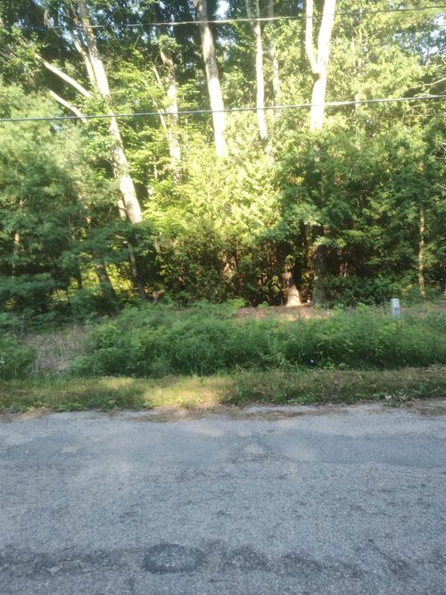 00 Woodlea Rd, Oscoda, MI, 48750 | Card Image