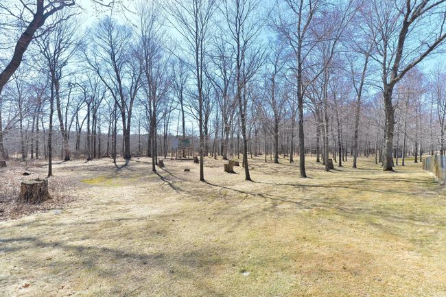Ample land for exploring | Image 26