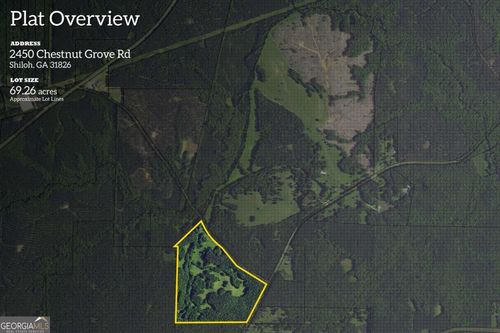 3-2450 Chestnut Grove Rd, Shiloh, GA, 31826-4318 | Card Image