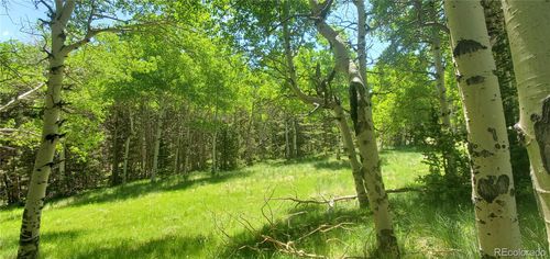 Lot 3085 Henderson Dr, Fort Garland, CO, 81133 | Card Image