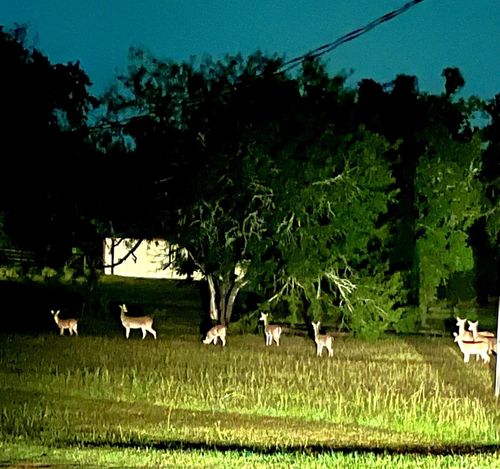 2217 Creek Rd, Brookshire, TX, 77423-9506 | Card Image