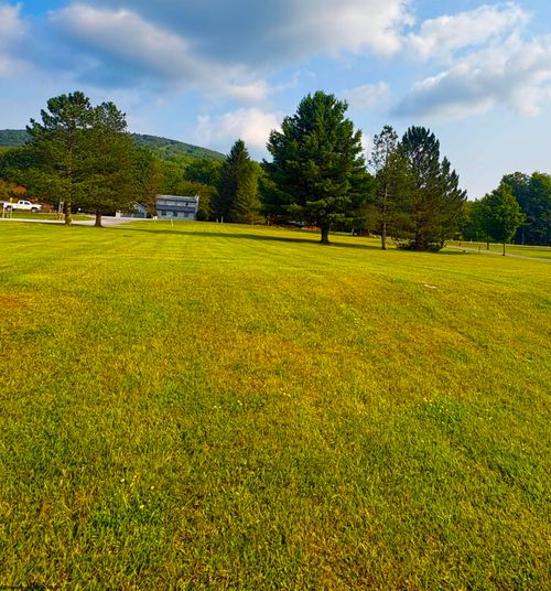 Lot 46 Penny Lane, Davis, WV, 26260 | Card Image