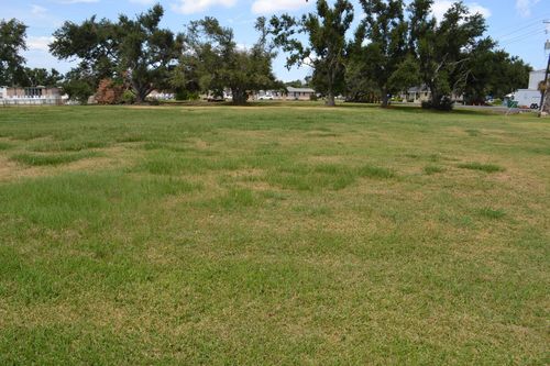 LOT 2 Oakridge Dr, Golden Meadow, LA, 70357 | Card Image