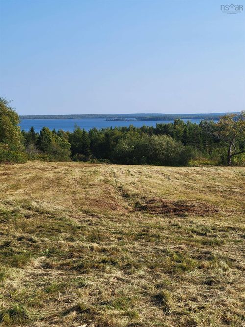 39 Walkerville Rd, Cleveland, NS, B0E1J0 | Card Image