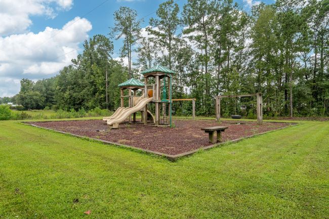 PARK PHOTO 1 | Image 58