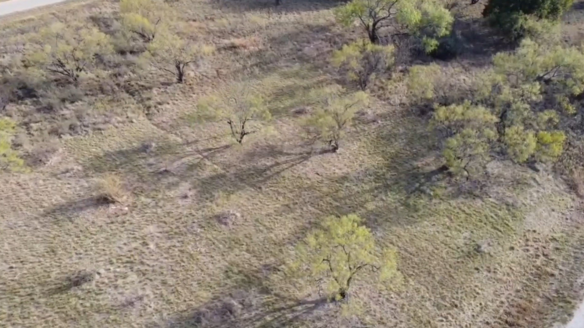 Land in Brownwood 2