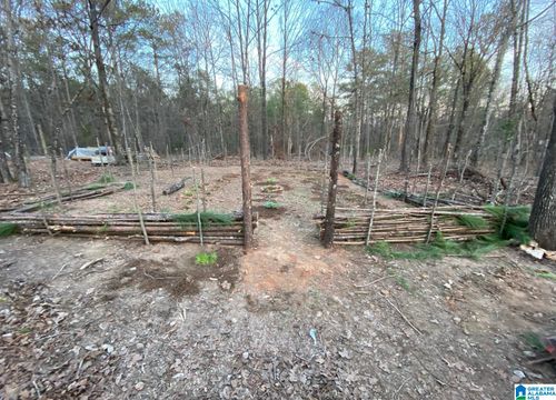 0-12700 Plant Rd, ALPINE, AL, 35014-6376 | Card Image