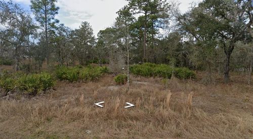 11353 Quill Ave, BROOKSVILLE, FL, 34614-4117 | Card Image