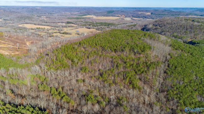 80 acres Rock Creek Rd, Home with 0 bedrooms, 0 bathrooms and null parking in Eva AL | Image 15