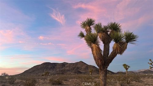 59775 Bearing Tree Rd, Landers, CA, 92285 | Card Image