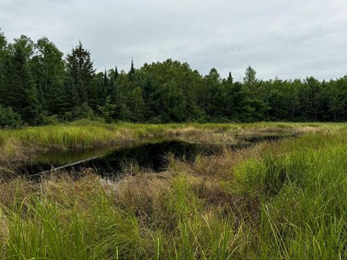 lot-1-0000 Pine Lake Rd, Minocqua, WI, 54548 | Card Image