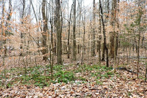 000 Canaan Cir, Hillsborough, NC, 27278 | Card Image