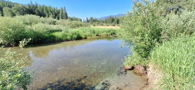 Area Attraction - Bull river | Image 82