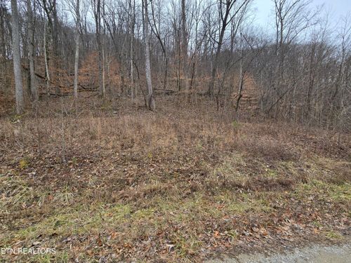 5 Apache Rd, Jamestown, TN, 38556 | Card Image