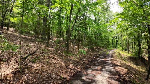 000 Long Gum Ln, Russellville, AR, 72802 | Card Image