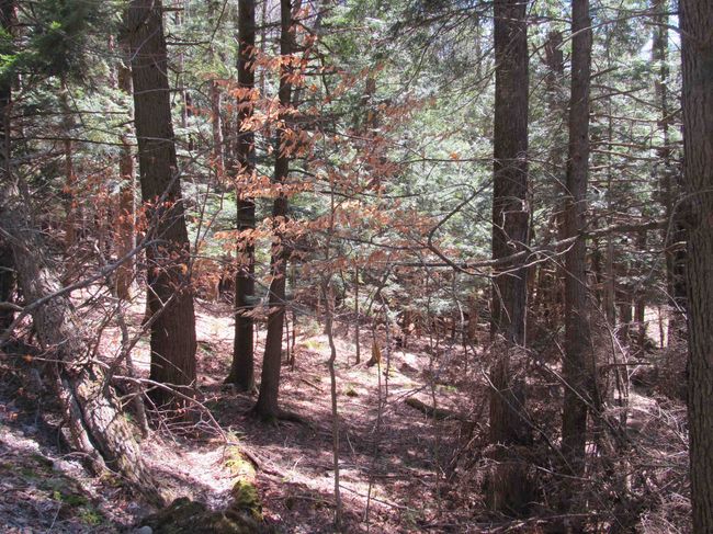 58 - 0 Stratton View Road, Home with 0 bedrooms, 0 bathrooms and null parking in Winhall VT | Image 6