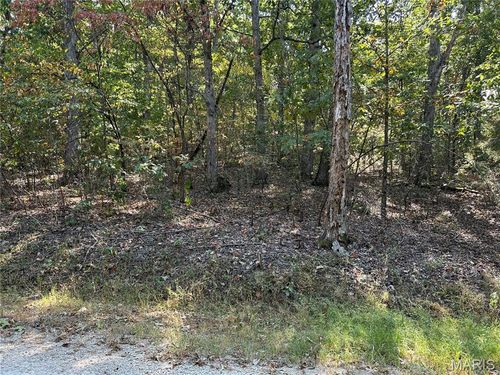 1026 King Arthur Ct, French Village, MO, 63036-1113 | Card Image