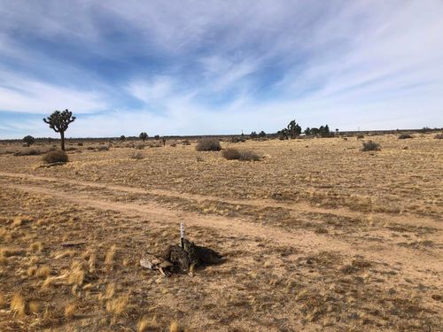 0 218th St W, Lancaster, CA, 93534 | Card Image