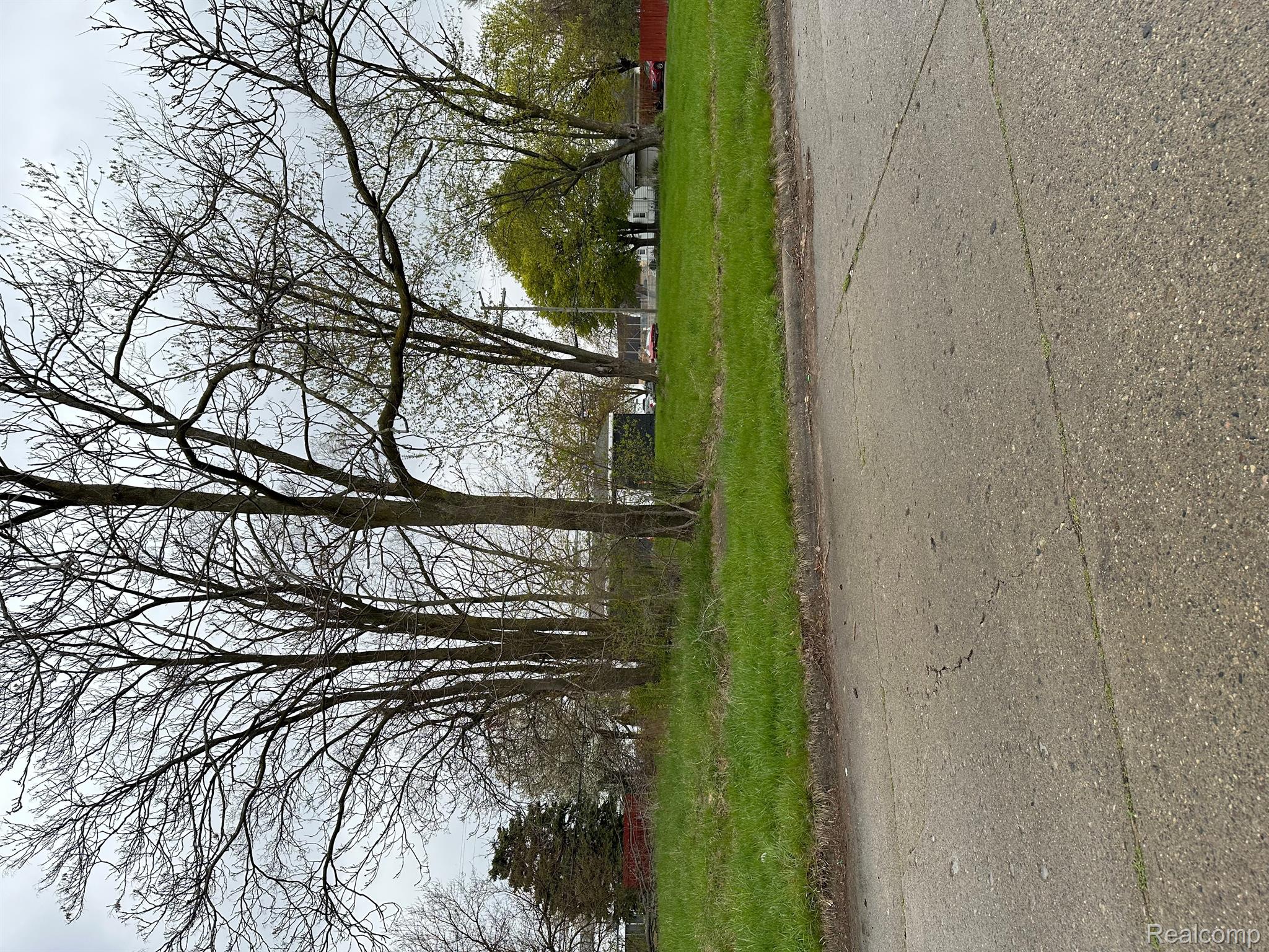 Land in Detroit 3