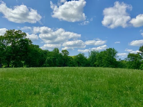 0 Memorial Dr, Paris, TN, 38242 | Card Image