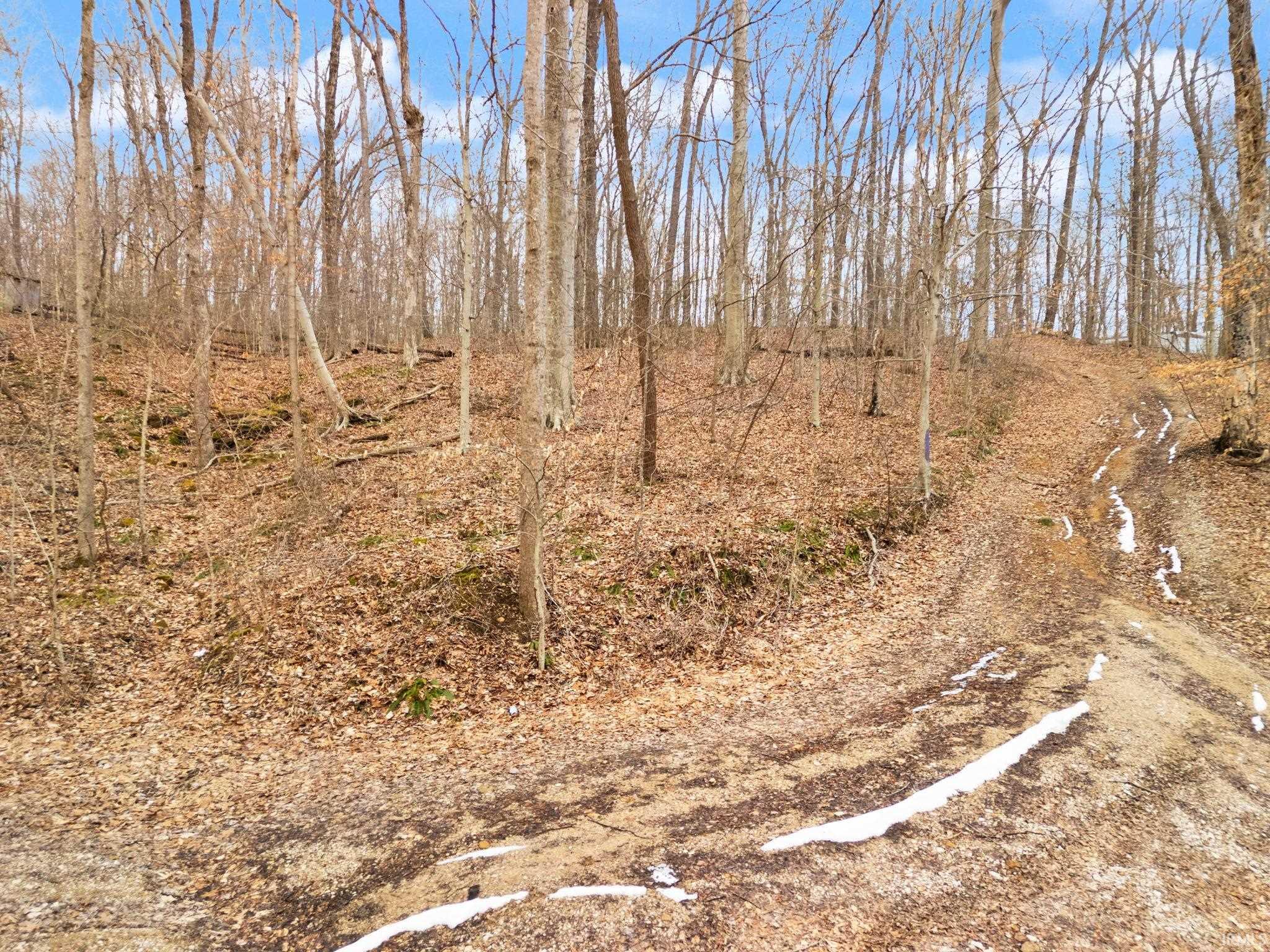Land in Paoli 5