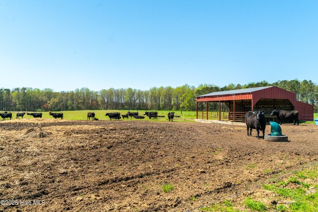 3775 Grifton Hugo Rd, House other with 5 bedrooms, 2 bathrooms and 2 parking in Grifton NC | Image 49