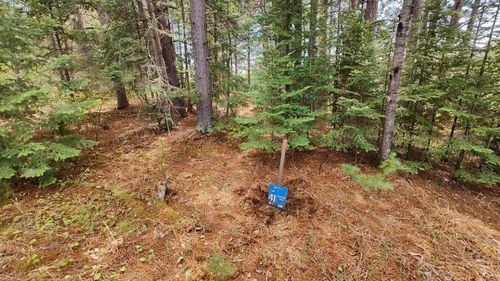 80064 Osprey Pass, Tower, MN, 55790 | Card Image