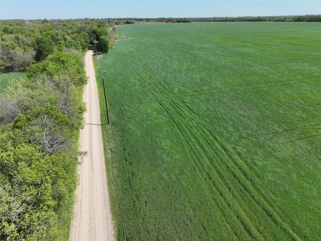 1 County Road 26850, Home with 0 bedrooms, 0 bathrooms and null parking in Petty TX | Image 10
