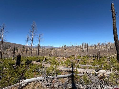 1070 Reed Ln, Fort Garland, CO, 81133 | Card Image