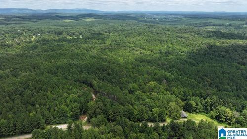 0-0 Coosa County Road 141, Goodwater, AL, 35072 | Card Image