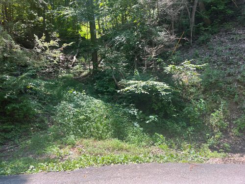 Lot 331 Ridgefield Dr, Sevierville, TN, 37876-8914 | Card Image