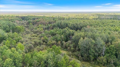 XXX 1262ac Pine Island State Forest, Big Falls, MN, 56627 | Card Image