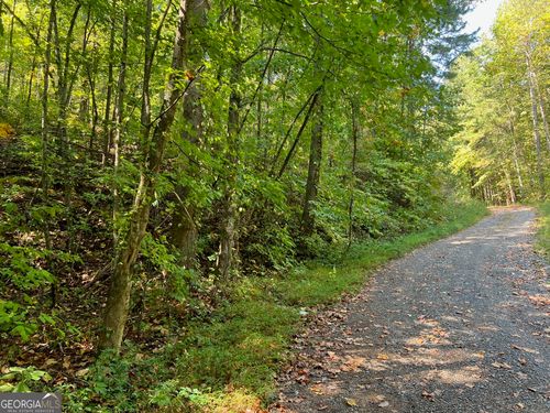 894 Newman Ct, Ranger, GA, 30734 | Card Image