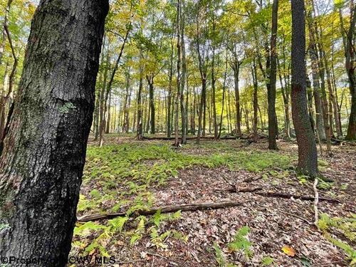 Lots 40 and 41 E Alpine Dr, Terra Alta, WV, 26764 | Card Image