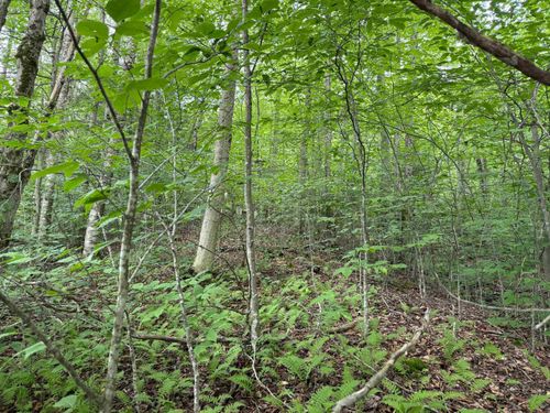 lot-25-25 Brookside Rd, Davis, WV, 26260-8341 | Card Image