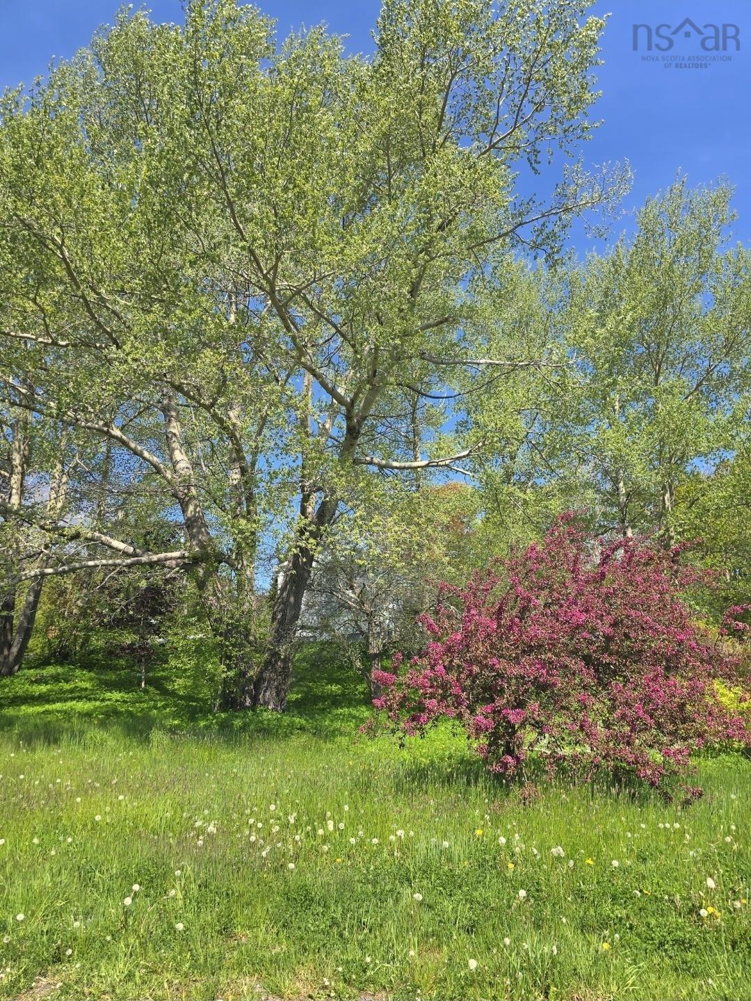 Land in Guysborough 5