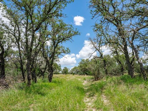 3-1632 Link Rd, Doss, TX, 78618 | Card Image