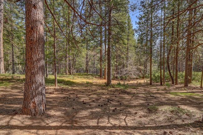 3025 Black Bear Dr, House other with 3 bedrooms, 3 bathrooms and null parking in Arnold CA | Image 52