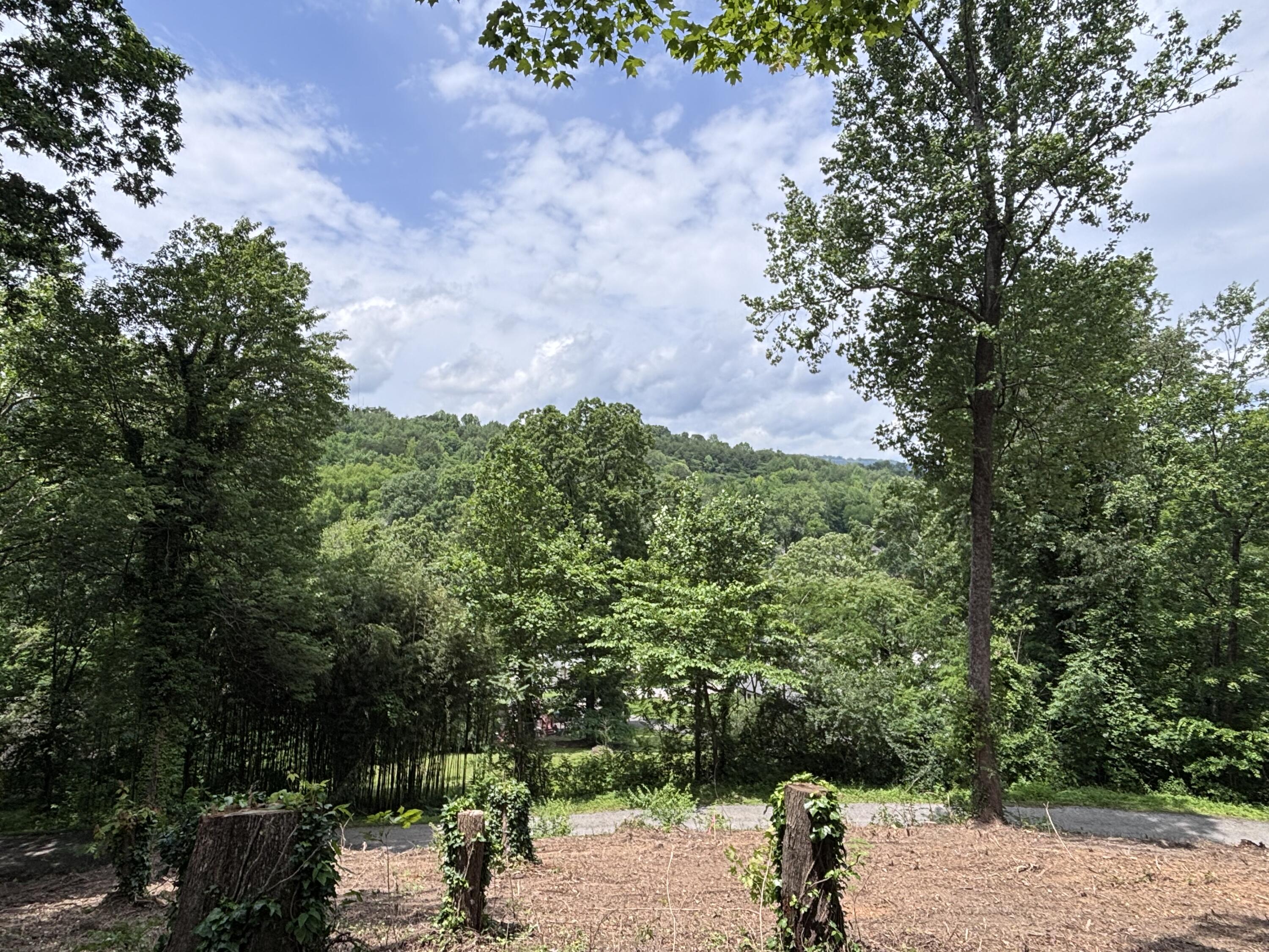 Land in Chattanooga 2