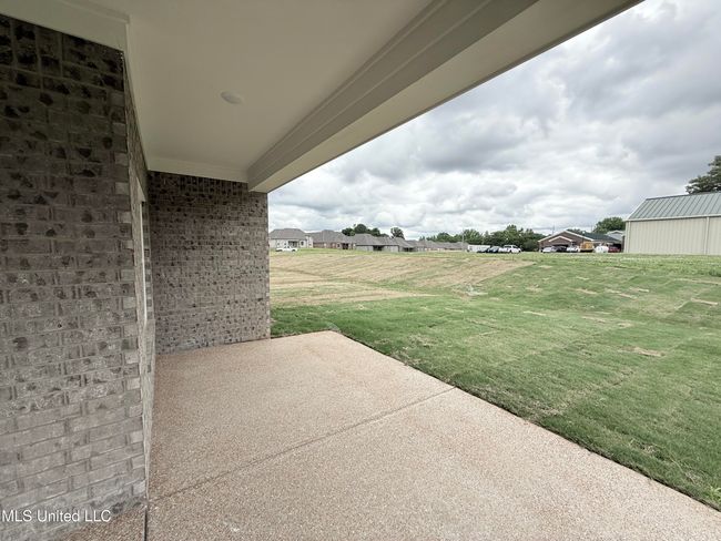Panola | Image 28