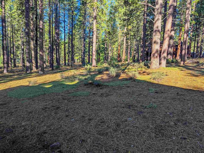 11561 Bottcher Loop, Home with 0 bedrooms, 0 bathrooms and null parking in Truckee CA | Image 6