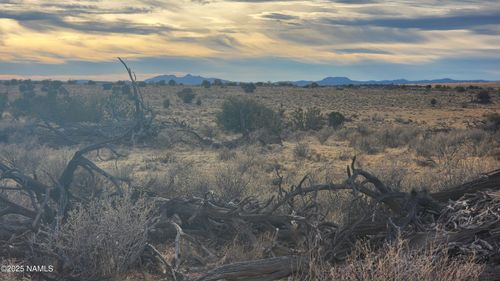 10500 W Line Cook Trail, Williams, AZ, 86046 | Card Image