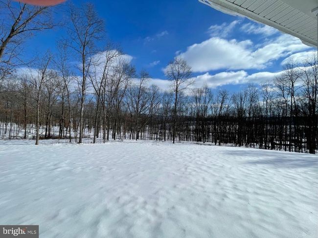 4645 Lower Knobley Rd, House other with 4 bedrooms, 4 bathrooms and null parking in MAYSVILLE WV | Image 17