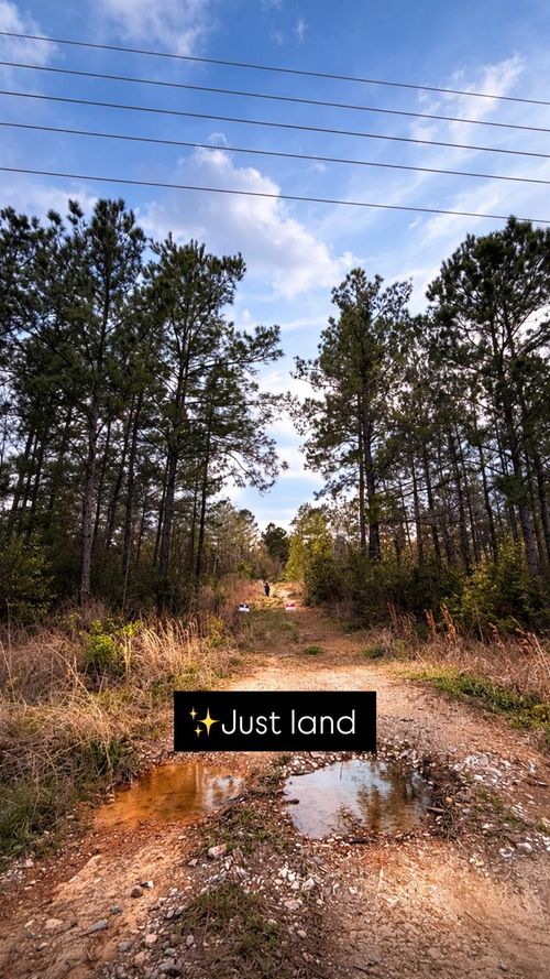 6785 Fm 1003, Kountze, TX, 77625 | Card Image