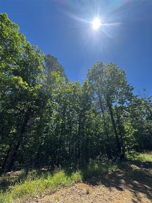 38 Mountain Bluff Trail, Watson, OK, 74957 | Card Image